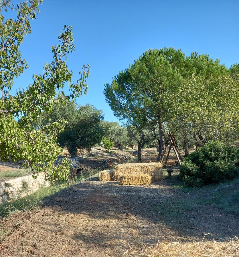 Villa Agreste オストゥーニ エクステリア 写真